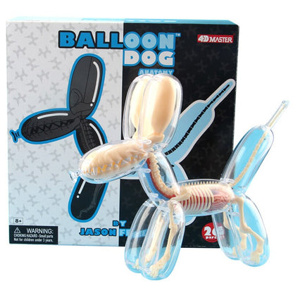 Big Balloon Dog 4d Assembling Toy Perspective Bone Anatomy Model Transparent Skeleton Model